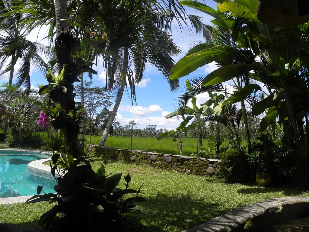 Saudara Home Ubud Exterior foto