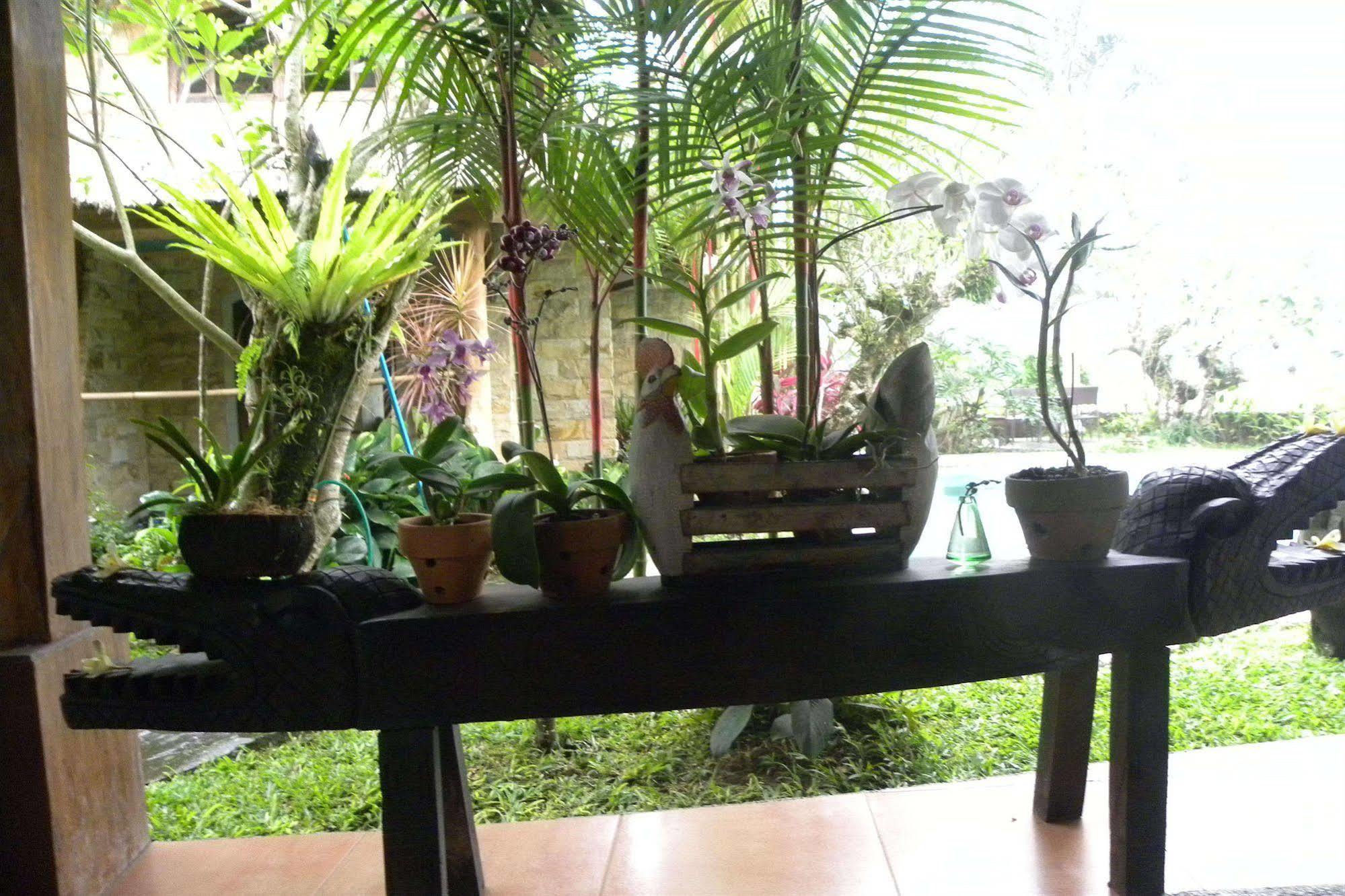 Saudara Home Ubud Exterior foto