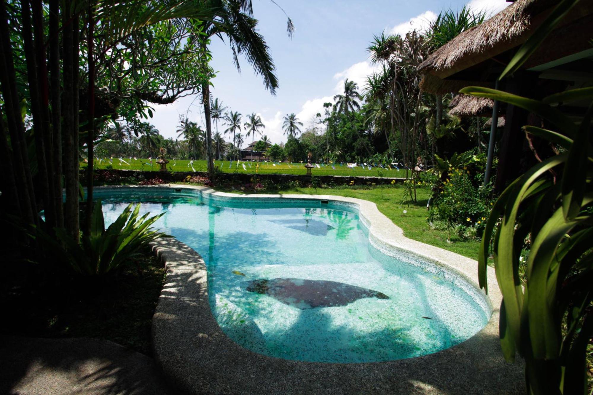 Saudara Home Ubud Exterior foto